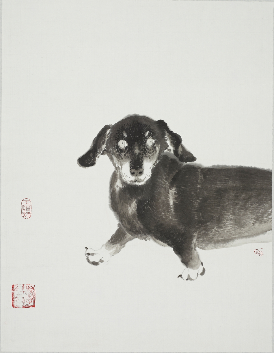 王怡然作品/犬童丸