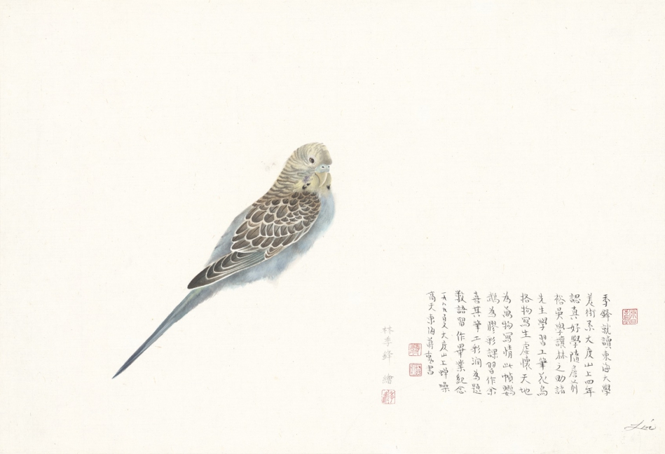 林季鋒作品/鸚鵡圖